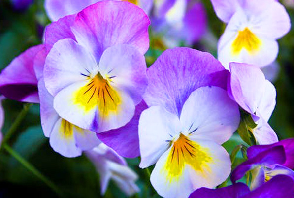 family and funeral celebrations